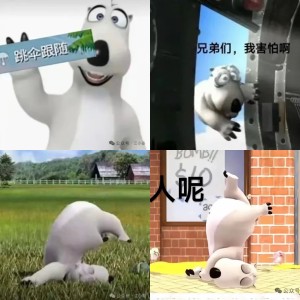 倒霉熊，我跳了，你们人呢？表情包 《跳伞匹配中》：可爱的卡通熊戴着眼镜在空中滑稽等待的样子表情包图片gif动图 - 求表情网,斗图从此不求人!