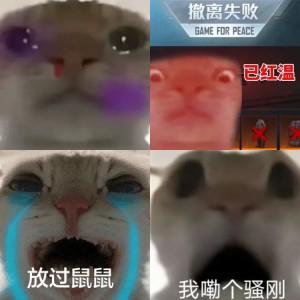 再也不缺三角洲猫meme表情包了 猫咪表情震惊,瞪大眼睛张大嘴巴的可爱模样表情包图片gif动图 - 求表情网,斗图从此不求人!