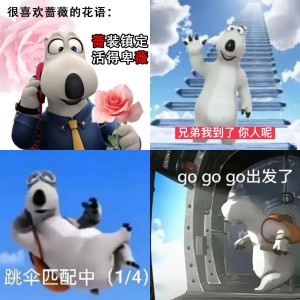 倒霉熊，我跳了，你们人呢？表情包 《跳伞匹配中》：可爱的卡通熊戴着眼镜在空中滑稽等待的样子表情包图片gif动图 - 求表情网,斗图从此不求人!