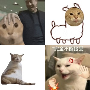 猫meme动态表情包|九九成，稀罕物儿～ 浅色猫咪近脸“嗅nnn”，呆萌嗅探模样表情包图片gif动图 - 求表情网,斗图从此不求人!