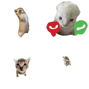猴子敬礼表情包 猴子向坐着的人敬礼，配文“给管理敬礼”，有趣又搞笑表情包图片gif动图 - 求表情网,斗图从此不求人!