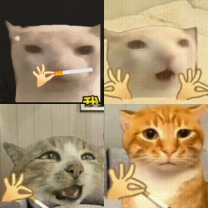 猫meme表情包 九九成，稀罕物儿 猫脸配OK手势手，惊讶呆萌超搞怪表情包图片gif动图 - 求表情网,斗图从此不求人!