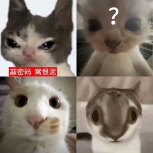 猫咪超近脸特写 呆萌张嘴吐舌搞怪瞬间 各种样式的猫meme表情包 表情包图片gif动图 - 求表情网,斗图从此不求人!