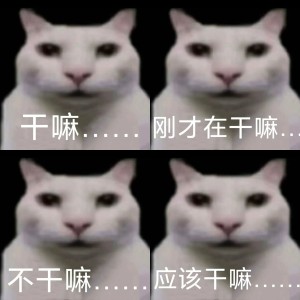 战神金刚2