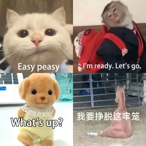 猪猪侠委屈辩解:她只是妹妹,你对解释无所谓 表情包:那阵子我们的感情,出现了一些问题Sticker GIF - Seeking an ...