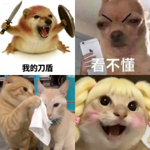 哈基米耄耋橘猫我的刀盾图片动图gif动态表情包合集(190张) 相关表情包,表情包专辑 - 求表情网,斗图从此不求人!