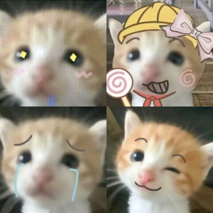 精选10张死对头小猫P图表情包_微笑小猫meme表情包 相关表情包,表情包专辑 - 求表情网,斗图从此不求人!