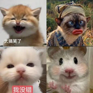 戴红帽的卡通小牛贱萌微笑 每日精选 | 可爱搞笑表情包 | 太搞笑了×丽丽吃泡面×爽爽爽×我的妈呀大姐Meme GIF - MemeVerse ...