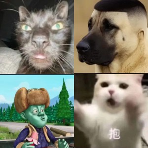 啊啊啊哦哦哦丢了吧一天表情包图片 - 求表情网,斗图从此不求人!