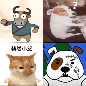 魔虚罗人设图表情包图片 - 求表情网,斗图从此不求人!