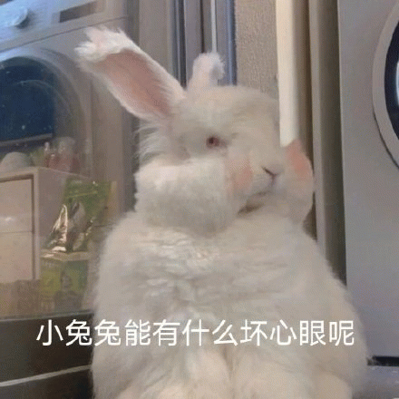 小兔兔能有什么坏心眼呢