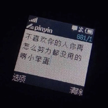 不喜欢你的人你再怎么努力都没用的小笨蛋