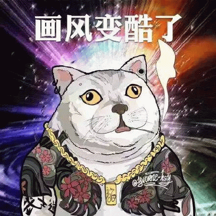 画风变酷了 憨憨猫 MUR猫表情包表情包图片gif动图 - 求表情网,斗图从此不求人!