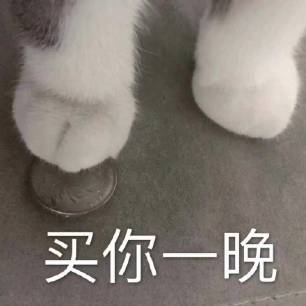 买你一晚(猫咪) 猫咪用爪子踩着硬币,配文“买你一晚”的搞笑表情包表情包图片gif动图 - 求表情网,斗图从此不求人!