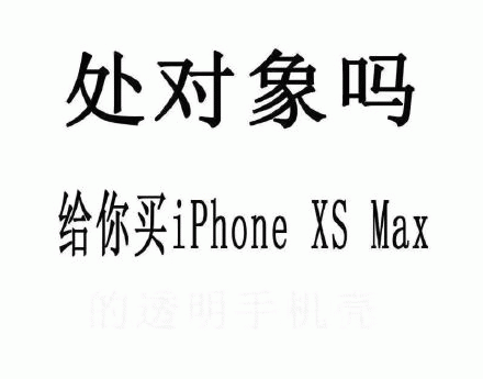 处对象吗？给你买 iphone XS Max 的透明手机壳