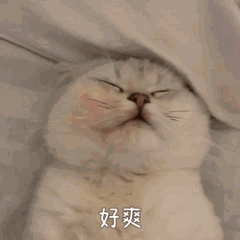 好爽(进入贤者时间的猫咪) 慵懒猫咪闭眼躺卧,一脸满足配文“好爽”,尽显惬意表情包图片gif动图 - 求表情网,斗图从此不求人!