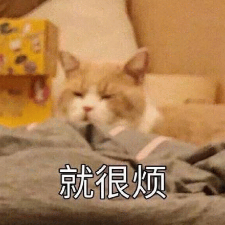 就很烦(猫咪)表情包图片gif动图 - 求表情网,斗图从此不求人!
