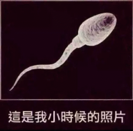 这是我小时候的照片（精子）