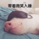 猪猪带着微笑入睡