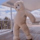 小熊跳舞GIF