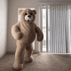 小熊跳舞表情包