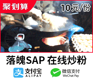 落魄SAP，在线炒粉（10元一份，支持支付宝 微信支付）