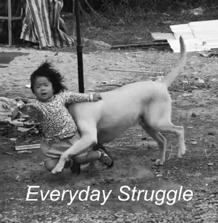 Everyday Struggle（挣扎度过每一天）