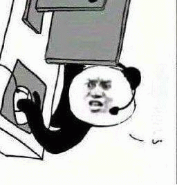 熊猫头侧头玩电脑