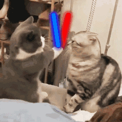 猫咪荧光棒捶你 GIF 动图