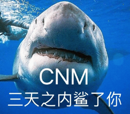 CNM 三天之内鲨了你