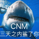 CNM 三天之内鲨了你