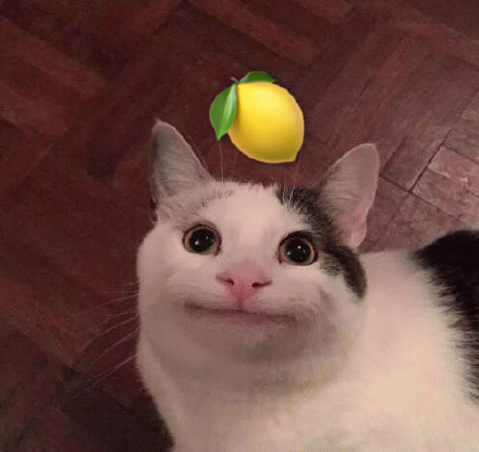 柠檬猫咪