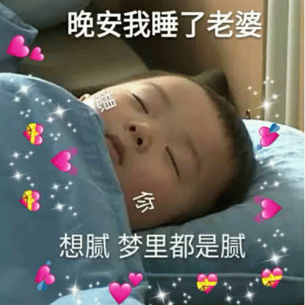 晚安我睡了老婆 想你梦里都是腻表情包图片 求表情网 斗图从此不求人