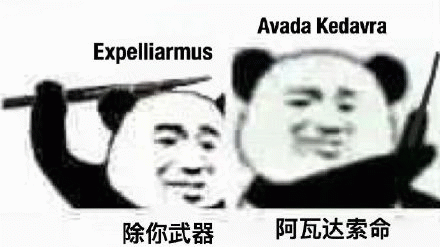 除你武器 Expelliarmus  阿瓦达索命 Avada Kedavra