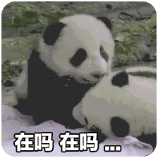在吗? 可爱熊猫依偎着,配文“在吗 在吗...”萌态十足表情包图片gif动图 - 求表情网,斗图从此不求人!