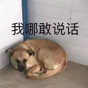 我哪敢说话啊（狗子）