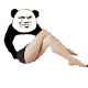 性感长腿熊猫头坐地下
