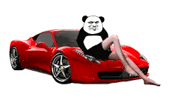 性感长腿熊猫头坐豪车上