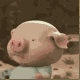 小猪快跑GIF