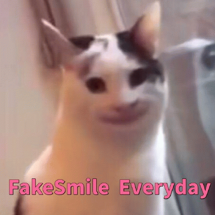 FakeSmile Everyday 假笑每一天（猫咪）