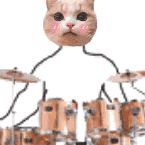 猫咪打架子鼓