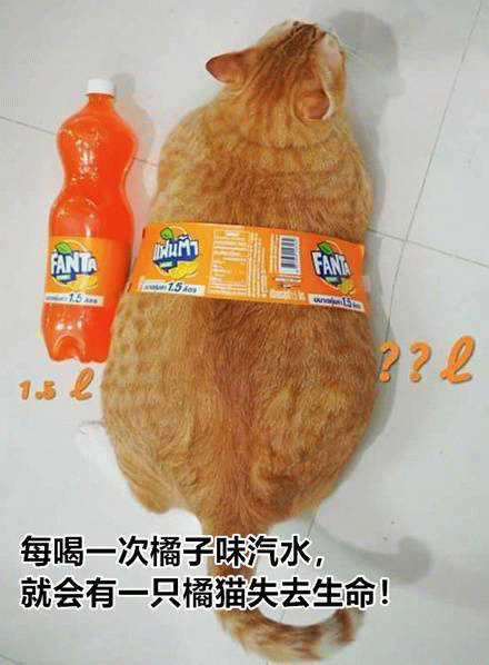 2?21.5每喝一次橘子味汽水,就会有一只橘猫失去生命!