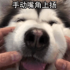 表扬表情包图片 - 求表情网,斗图从此不求人!