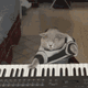 加菲猫快速弹钢琴