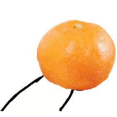 给你橘子