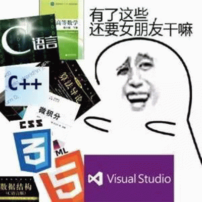 有了这些(C 语音、C++、CSS3、HTML5、VS),还要女朋友干嘛 “有了这些还要女朋友干嘛”,编程书籍环绕的搞笑表情包表情包图片gif ...