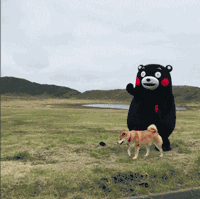 熊本熊遛狗