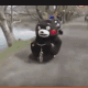 熊本熊撞车啦