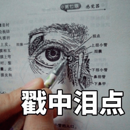 第七感觉器是衬板结膜的泪点上皮。泪腺上泪小管膜相互泪囊膜上弯时,整。此下泪小管膜炎和鼻泪管下鼻甲戳中泪点小管的人口表情包图片gif动图 - 求 ...