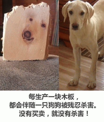 每生产一块木板,都会伴随一只狗狗被残忍杀害。没有买卖,就没有杀害!